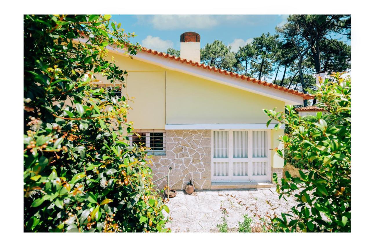Regina Surf Houses - Cabedelo Beach Viana do Castelo Exterior foto